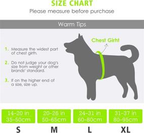 img 4 attached to 🐶 High Visibility Dog Life Jacket - Adjustable JuJubak Life Vest for Dogs, Superior Buoyancy, 14-20" Chest Circumference