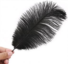 img 2 attached to Make Your Occasions Stand Out With 24Pcs Real Ostrich Feathers In Bulk Colors - Perfect For Christmas, Halloween, Weddings And Home Party Centerpieces