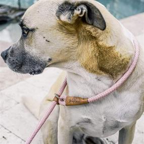 img 1 attached to Wooflinen Reflective Dog Slip Leash - Premium Quality Mountain Climbing Rope Leash - Ideal for Training and Extra Strong Pullers - 6 Foot