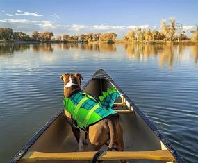 img 1 attached to Durable Dog Life Jacket with Rescue Handle for Small Medium or Larger Dogs - Enhanced Buoyancy & Pet Safety Vest for Swimming & Boating