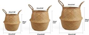 img 3 attached to Small Seagrass Belly Basket By BlueMake - Perfect For Storage, Plant Pot, Laundry, Picnic & Grocery!
