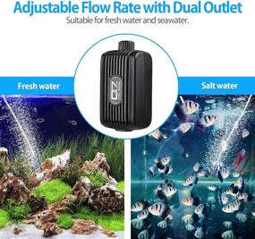 img 3 attached to 🐠 Ultra Silent Aquarium Air Pump with Dual Outlet & Adjustable Valve - For Up to 80 Gallon Tank