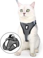 breathable harness adjustable leash clips logo