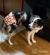 img 1 attached to Cos2Be Female Dogs Diapers Washable Reusable Wraps,Soft & Comfortable Diapers For Small To Middle Dog-Pack Of 3(XS) review by Elijah Balzarini