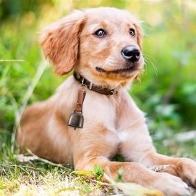 img 1 attached to 🔔 Hotop 2-Piece Metal Bells: Cat & Dog Collar Bell Set - Trackers, Grazing Copper Bells, Noise Makers, Choker Leather Strap - Perfect for Pet Training, Christmas & New Year