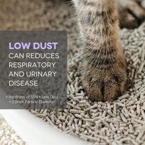 img 2 attached to 🐱 Petnf Tofu Cat Litter - Natural Flushable Kitten Litter, Unscented, Ultra Clumping Plant Litter with Pea Flavor and Activated Charcoal Double Shot Deodorization. Zero Dust, Low Tracking, Biodegradable.