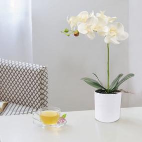 img 4 attached to Реалистичная белая орхидея U'Artlines в горшке для потрясающего домашнего декора, офисного или праздничного стола (маленький)