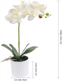 img 3 attached to Реалистичная белая орхидея U'Artlines в горшке для потрясающего домашнего декора, офисного или праздничного стола (маленький)