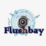 flushbay логотип