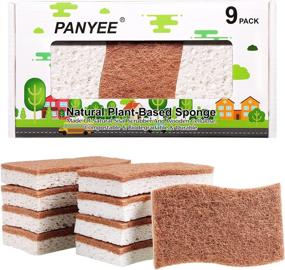 img 4 attached to 🌿 PANYEE 9-Pack Biodegradable Natural Kitchen Sponges - Eco-Friendly Dishes Sponges, Compostable Cellulose Sponge with Plant-Based Sisal Walnut Scrubber Sponge
