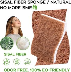 img 3 attached to 🌿 PANYEE 9-Pack Biodegradable Natural Kitchen Sponges - Eco-Friendly Dishes Sponges, Compostable Cellulose Sponge with Plant-Based Sisal Walnut Scrubber Sponge