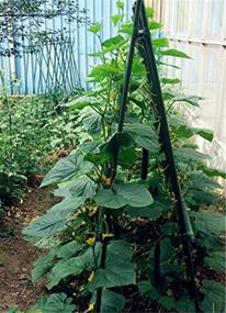 img 3 attached to Набор из 25 стальных колышков для растений - TINGYUAN, 60 дюймов, поддержка для сада.