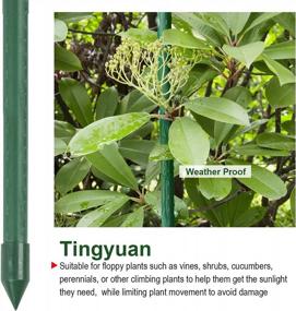 img 2 attached to Набор из 25 стальных колышков для растений - TINGYUAN, 60 дюймов, поддержка для сада.