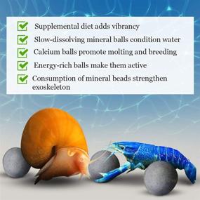 img 2 attached to 🐌 SunGrow Calcium-Rich Gray Pearls for Snails and Crayfish - Enhance Color, Boost Energy Levels, 10-Piece Set