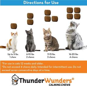 img 3 attached to Vet-Recommended ThunderWunders Cat Calming Chews - Effective for Reducing Situational Anxiety, Vet Visits, Travel, Separation, Fireworks, Thunderstorms & More! 100 Count