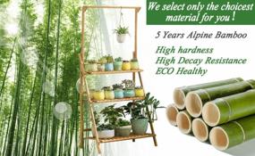 img 3 attached to COPREE Bamboo 3-Tier Hanging Plant Stand: Organize Your Garden In Style!