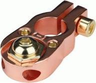 🔋 rose gold universal battery terminal - raptor rgbtu-n 5/16" bolt (2 | 8 gauge | negative) logo