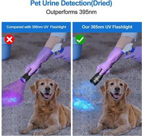 img 3 attached to Vansky UV Light Blacklight Flashlights 365Nm: LED Black Light Flashlite Professional Ultraviolet Flashlight Pet Urine Detector For Dog Cat, Resin Curing And Rock Hunting(Batteries Are Included)