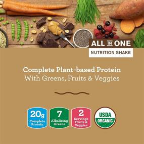 img 2 attached to Amazing Grass Protein Superfood: Vegan Protein Powder & All-in-One Nutrition Shake with Beet Root Powder and Peanut Butter - 10 Single Serve Packets
