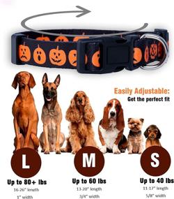 img 2 attached to 🐶 NativePup Holiday Dog Collar: Valentine's Day, Halloween, Thanksgiving, Christmas, 4th of July, American Flag, St. Patrick's Day, Easter