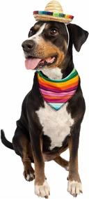 img 1 attached to 🎩 Pet Krewe Mexican Cinco de Mayo Costume Set: Dog Sombrero Hat & Collar with Serape Outfit - Ideal for Halloween, Parties, and Photo Shoots