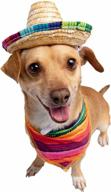 🎩 pet krewe mexican cinco de mayo costume set: dog sombrero hat & collar with serape outfit - ideal for halloween, parties, and photo shoots логотип