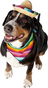 img 2 attached to 🎩 Pet Krewe Mexican Cinco de Mayo Costume Set: Dog Sombrero Hat & Collar with Serape Outfit - Ideal for Halloween, Parties, and Photo Shoots