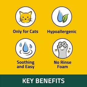 img 3 attached to Breezytail PetO'Cera Body Wash For Dogs - All-In-One Shampoo Microbubble Shampoo With Ceramide Skin & Coat Conditioner (Rosemary, PetO'Cera Waterless Shampoo For Cats)