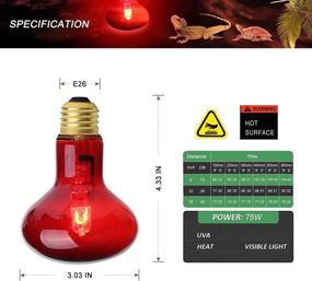 img 3 attached to 🦎 Reptile Red Heat Lamp Bulb, 75W Infrared Basking Spot Light - Ideal for Bearded Dragon and Turtle Habitat - 4 Pack