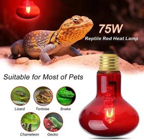 img 1 attached to 🦎 Reptile Red Heat Lamp Bulb, 75W Infrared Basking Spot Light - Ideal for Bearded Dragon and Turtle Habitat - 4 Pack