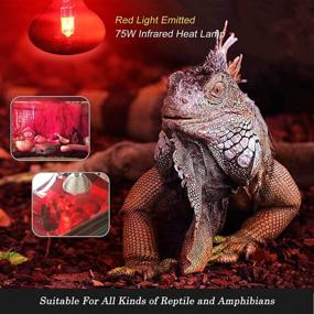 img 2 attached to 🦎 Reptile Red Heat Lamp Bulb, 75W Infrared Basking Spot Light - Ideal for Bearded Dragon and Turtle Habitat - 4 Pack