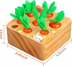 img 3 attached to SKYFIELD Carrot Harvest Game Wooden Toy: Educational Shape Sorting Matching Puzzle Gift For Baby Boys & Girls 1-3 Years Old - 7 Size Carrots Montessori Toy!