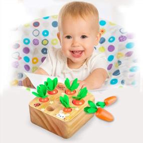 img 1 attached to SKYFIELD Carrot Harvest Game Wooden Toy: Educational Shape Sorting Matching Puzzle Gift For Baby Boys & Girls 1-3 Years Old - 7 Size Carrots Montessori Toy!