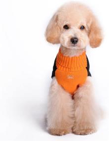 img 2 attached to 🎃 Halloween Pet Clothes: HAPEE Dog Sweaters for Dog/Cat