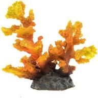 saim aquarium orange decorations ornaments логотип