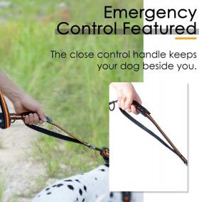 img 1 attached to ThinkPet Dog Leashes – Double Handle Traffic Control, Heavy Duty Bungee No Pull Reflective Lead With Comfortable Padded Handles And Car Seat Belt For Medium To Large Dogs Training And Walking