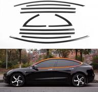 tesla model 3 window trim kit - xipoo fit black side window molding trim (glossy black) logo