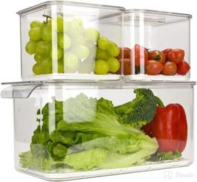 img 3 attached to 🍅 Ambergron BPA-Free Produce Saver Set - Fruit & Vegetable Storage Container for Fridge, Lettuce Keeper, Clear, Pack of 3