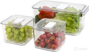 img 2 attached to 🍅 Ambergron BPA-Free Produce Saver Set - Fruit & Vegetable Storage Container for Fridge, Lettuce Keeper, Clear, Pack of 3