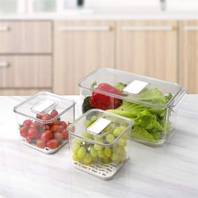 img 1 attached to 🍅 Ambergron BPA-Free Produce Saver Set - Fruit & Vegetable Storage Container for Fridge, Lettuce Keeper, Clear, Pack of 3