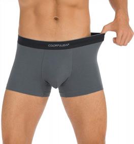 img 1 attached to Breathable And Comfortable Men'S Bamboo Rayon Trunks With Dual Pouch - Colorfulleaf Underwear 3 Pack