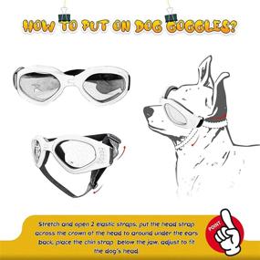 img 1 attached to 🐶 Enhanced UV Protection Dog Goggles | Adjustable Eye Wear for Small and Medium Breed Puppies | Pink