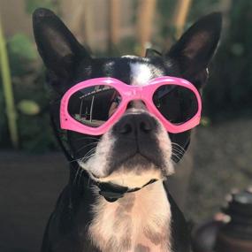 img 2 attached to 🐶 Enhanced UV Protection Dog Goggles | Adjustable Eye Wear for Small and Medium Breed Puppies | Pink