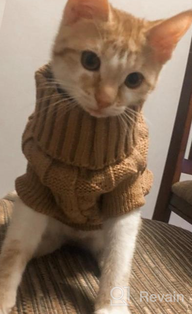 img 1 attached to Cozy Up Your Feline Friend With Our Turtleneck Cat Sweater – Perfect For Kitty, Chihuahua, Teddy, Poodle, Pug And Small Dogs! review by Adam Allard