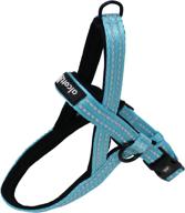 🐾 alcott norwegian blue harness, large – secure & stylish dog gear логотип