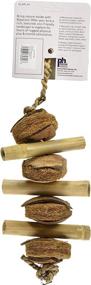 img 1 attached to Natural Coco and Bamboo Bird Toy: Prevue Hendryx 62800 - Engaging and Eco-Friendly Toy for Birds