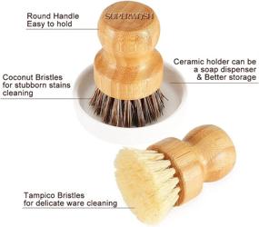 img 2 attached to 🌿 Bamboo Scrub Brush for Superwash Plus: Efficient Cleaning of Pans, Dishes, and Vegetables with Natural Bristles. Palm Pot Brush 4 Pack, Featuring Round Mini Dish Brush and Ceramic Holder for Optimal Kitchen Sink Cleaning.