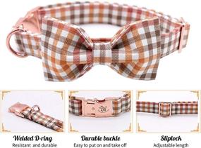 img 3 attached to 🐶 Elegantly Designed Tail Dog Collar with Bowtie, Comfortable Bowtie Dog Collar, Adjustable Collar for Small, Medium, and Large Dogs and Cats