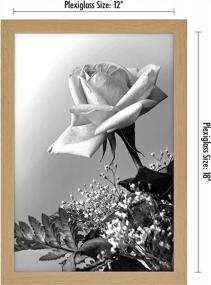 img 3 attached to Americanflat 12X18 Pine Wood Poster Frame With Polished Plexiglass, Horizontal And Vertical Formats For Wall Hanging - Includes Hardware