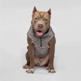 img 1 attached to 🐾 Cozy up in Style with Canada Pooch Northern Knit 2.0: Winter-Ready Pet Apparel